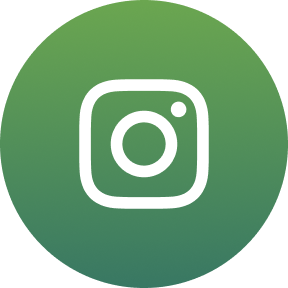 icone rond vert avec logo instagram
